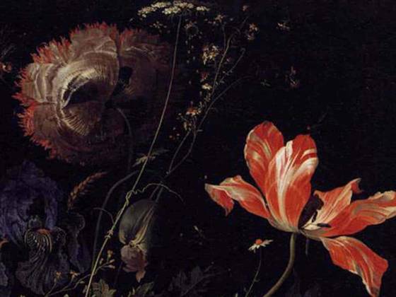 Studio B. Severin ashes